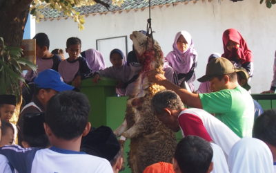 Latihan Qurban 1440 H